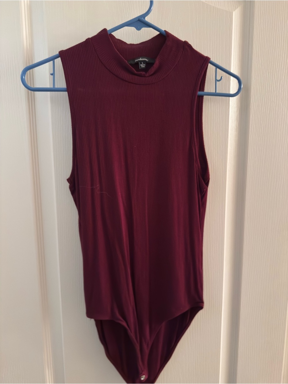 Sleeveless Ribbed Mock Neck Bodysuit - Wine